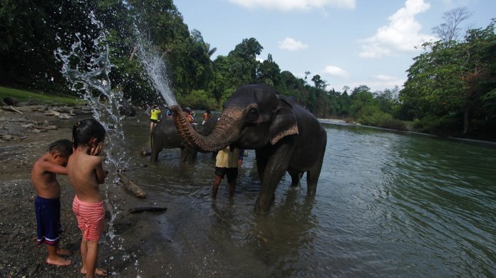 6 Alam Indonesia Ala Afrika Yang Bikin Kamu Nggak Berhenti Motret